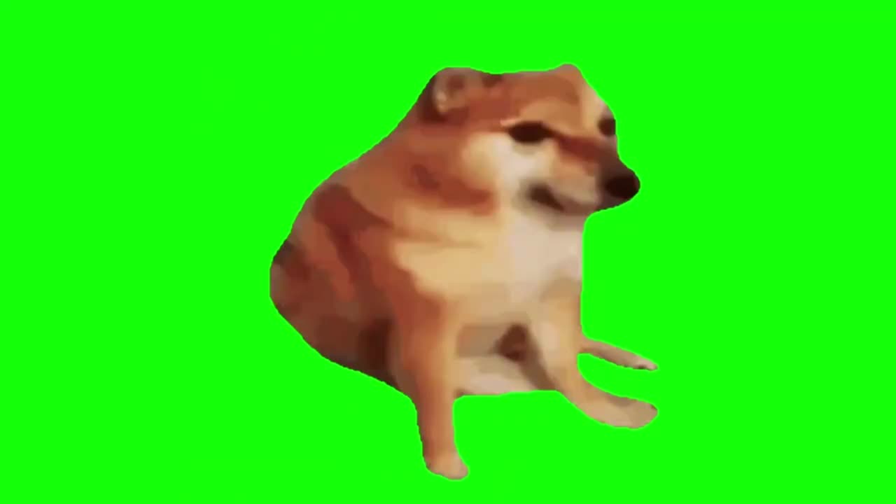 敲头dog（有声）