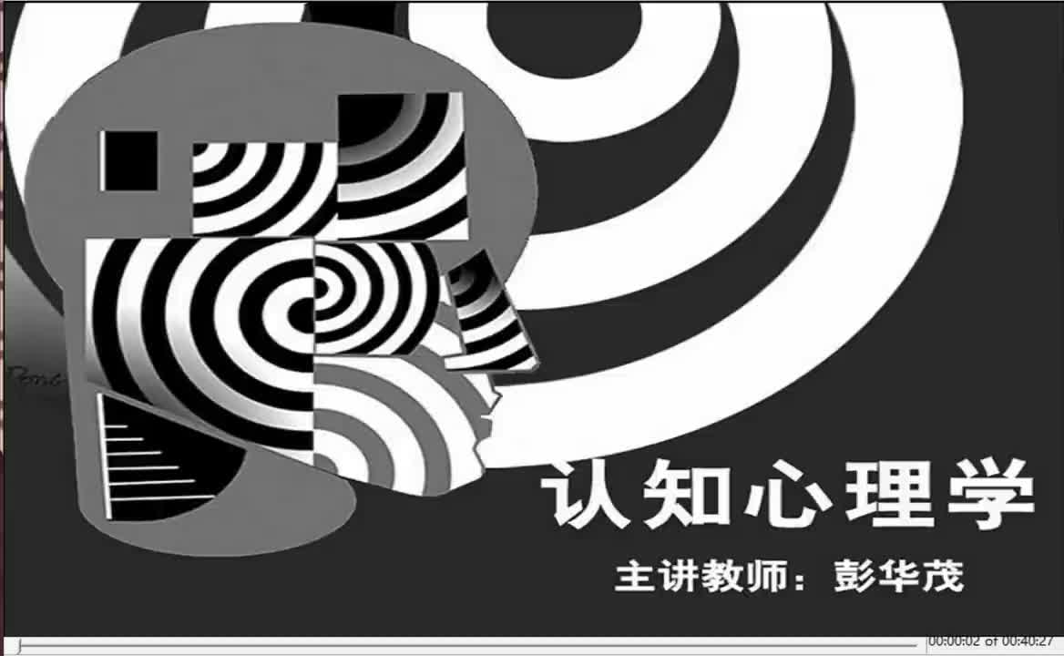 第五章：短时记忆