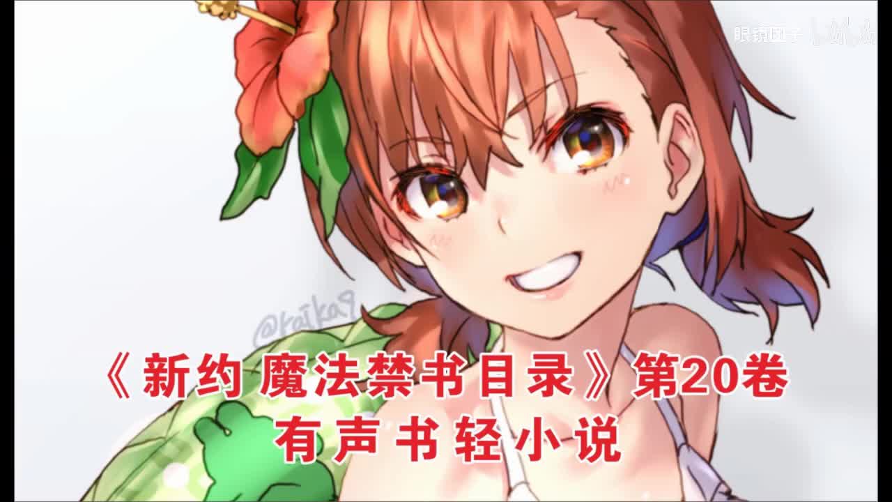 改新约目录20卷