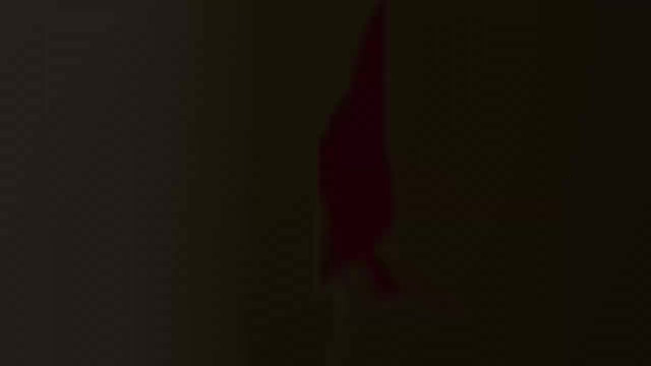 第二届教学展示活动 以党史为重点的“四史”教育雷虹艳 成都中医药大学