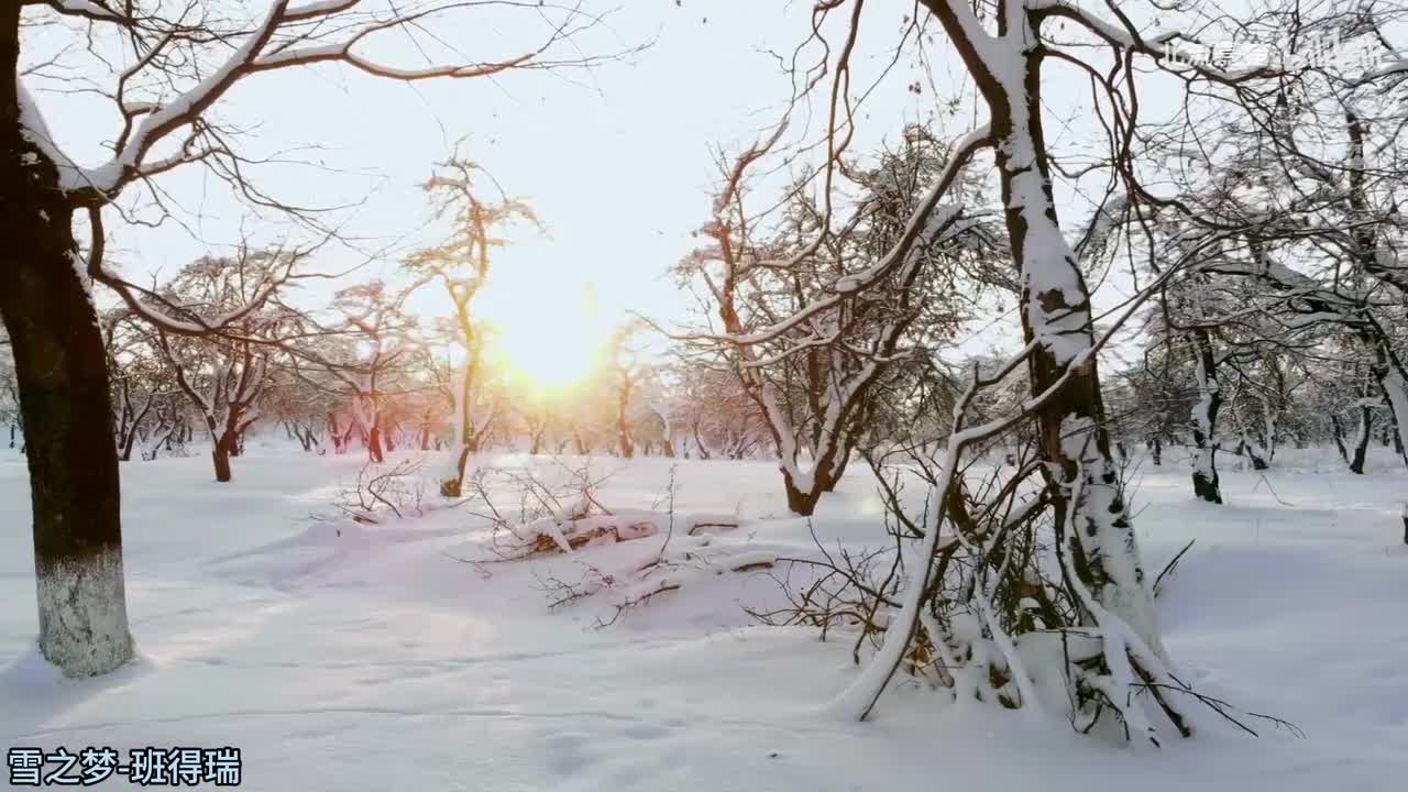 02.雪之梦-赵海洋