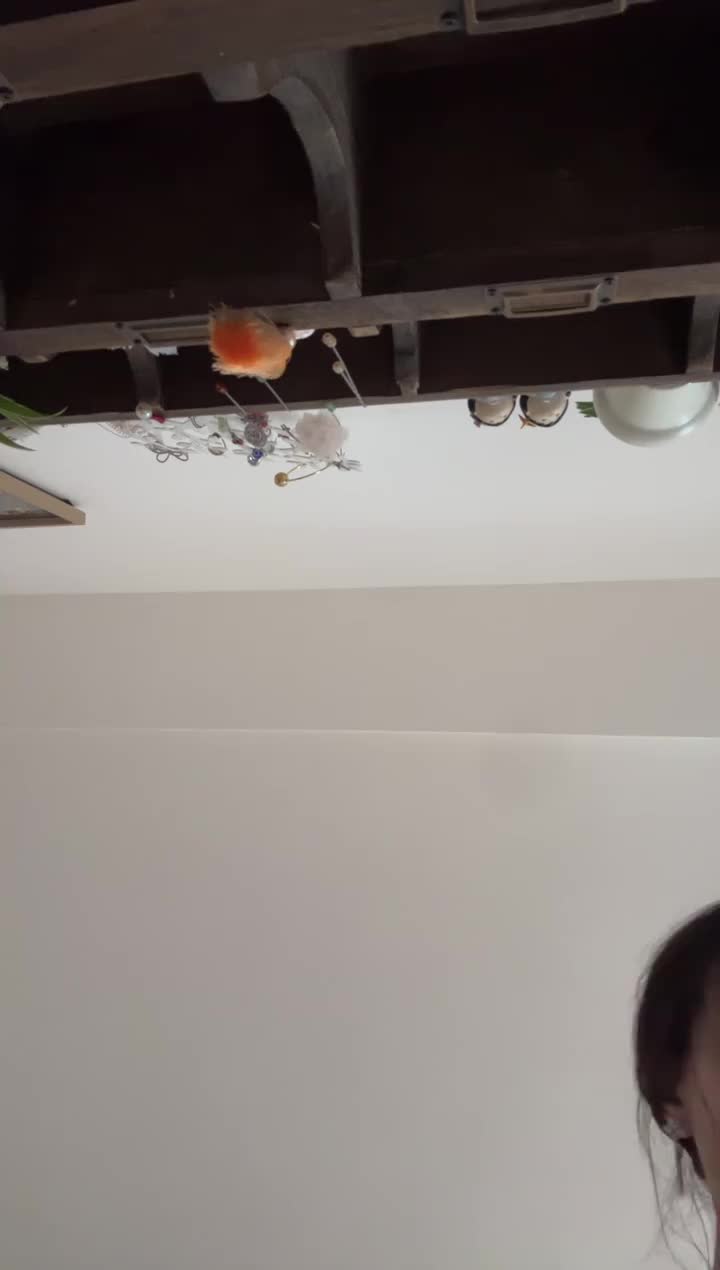 宠禧_2024-03-10_12-40-37_000