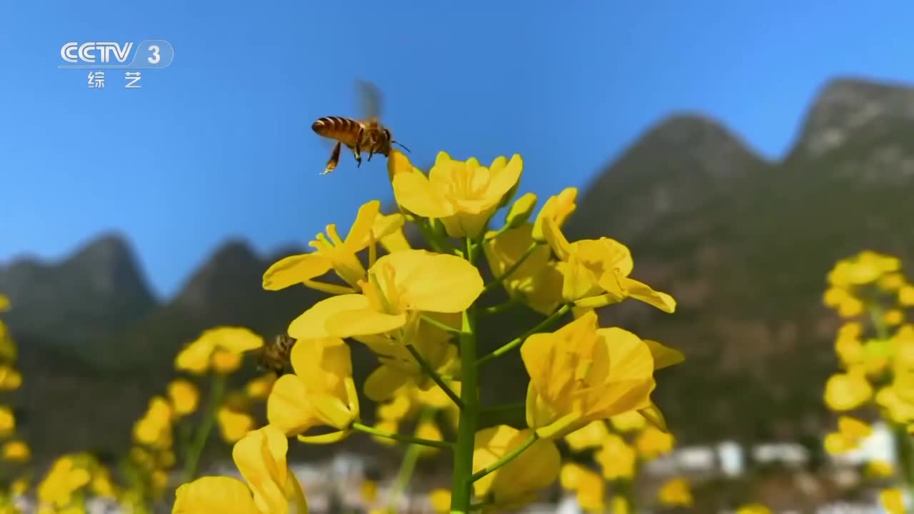 03 2024春季包装-ID1 10s