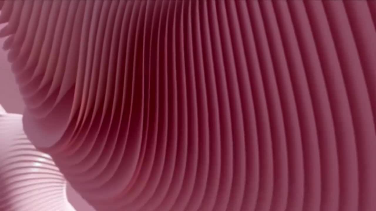 PG59H（成人情节、不雅用语及裸露）婚后事#14 20240314_213612