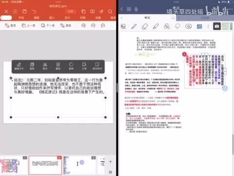 wps和goodnotes联用