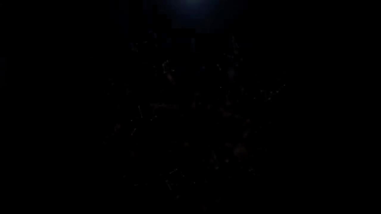 66-66.奇玛曼达 恩戈齐 阿迪奇埃