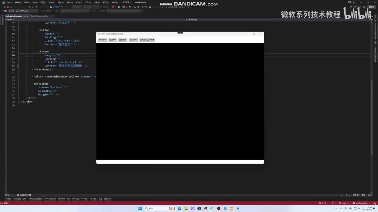 12.WPF中绘制形状
