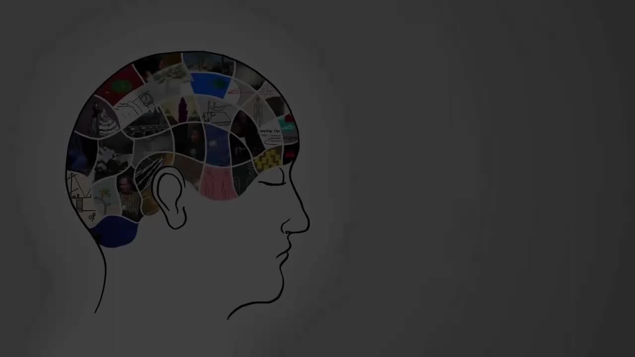 052-大西洋奴隶贸易太少的教科书告诉了你什么【双语字幕】