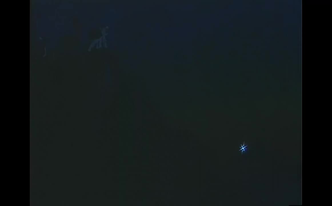 【4K】森林大帝65版ED