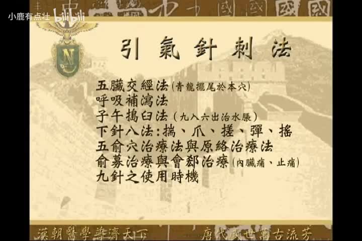 《针灸大成》第8集