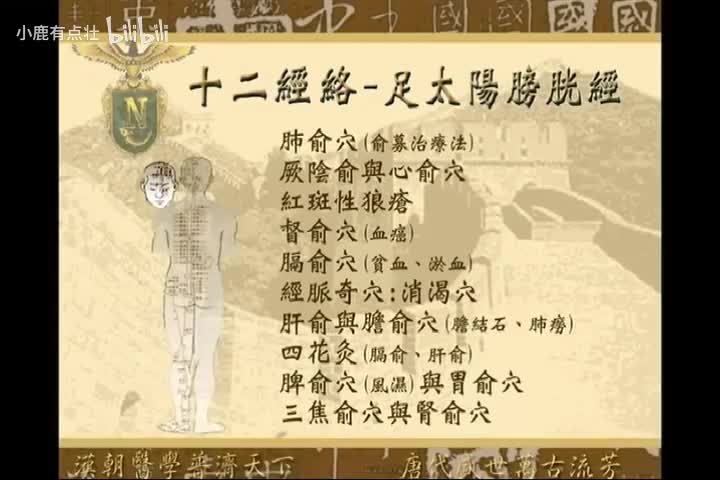 《针灸大成》第5集