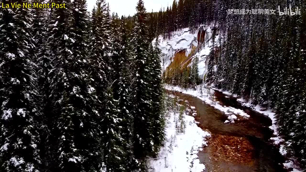 19.La Vie Ne Ment Past