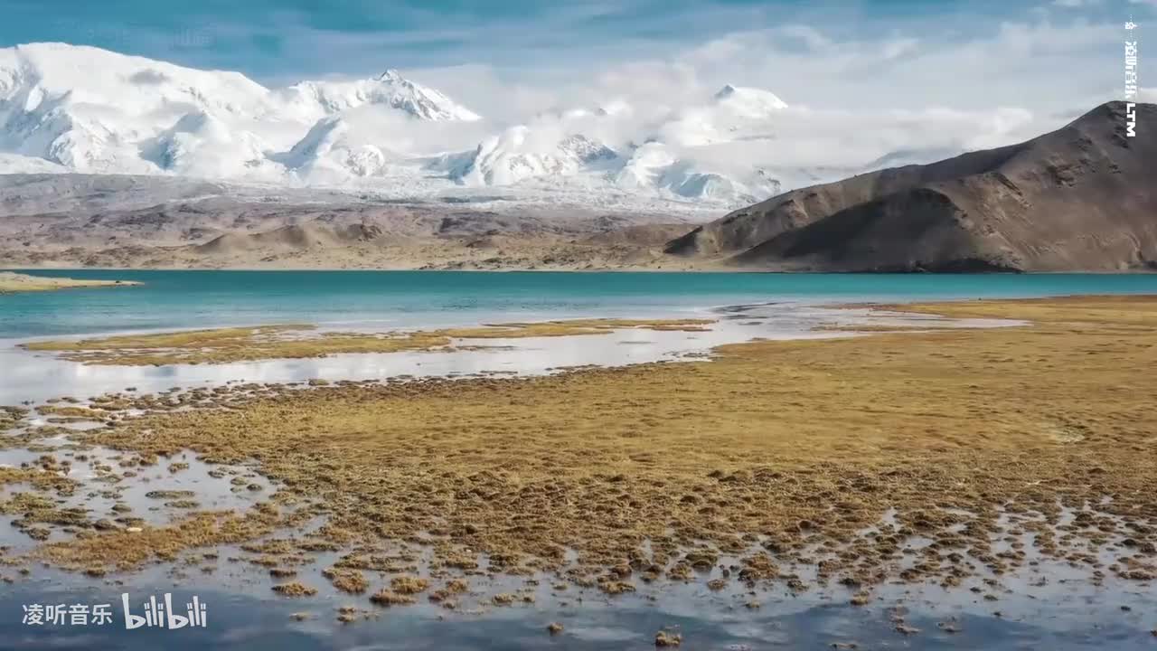 16陈悦 - 绿野仙踪