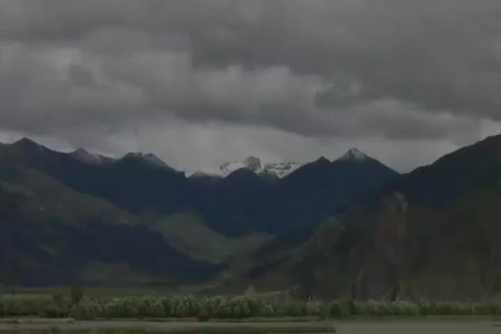 《华严经》第133讲【第二会普光明殿】净行品16