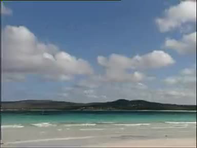 《赵五娘上京》6吴南野 陈应兰