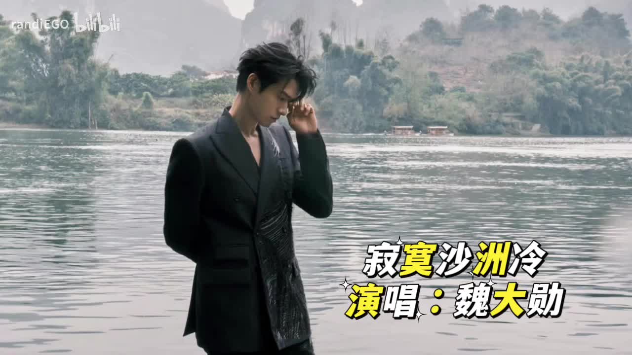 寂寞沙洲冷