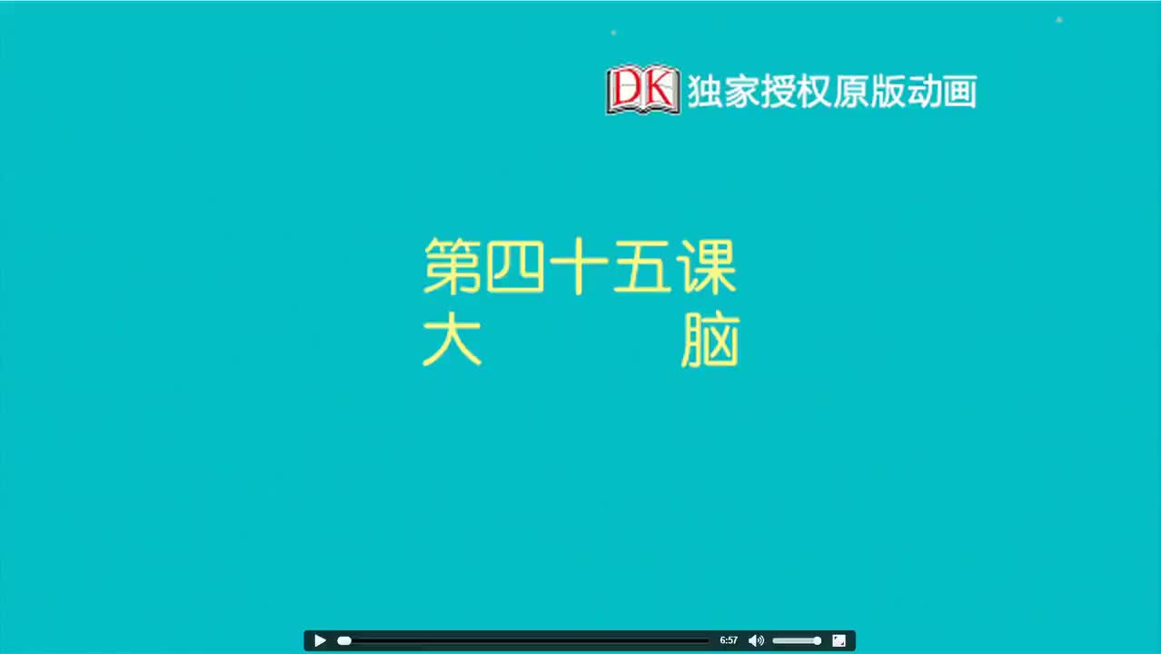 45第四十五节：大脑 1