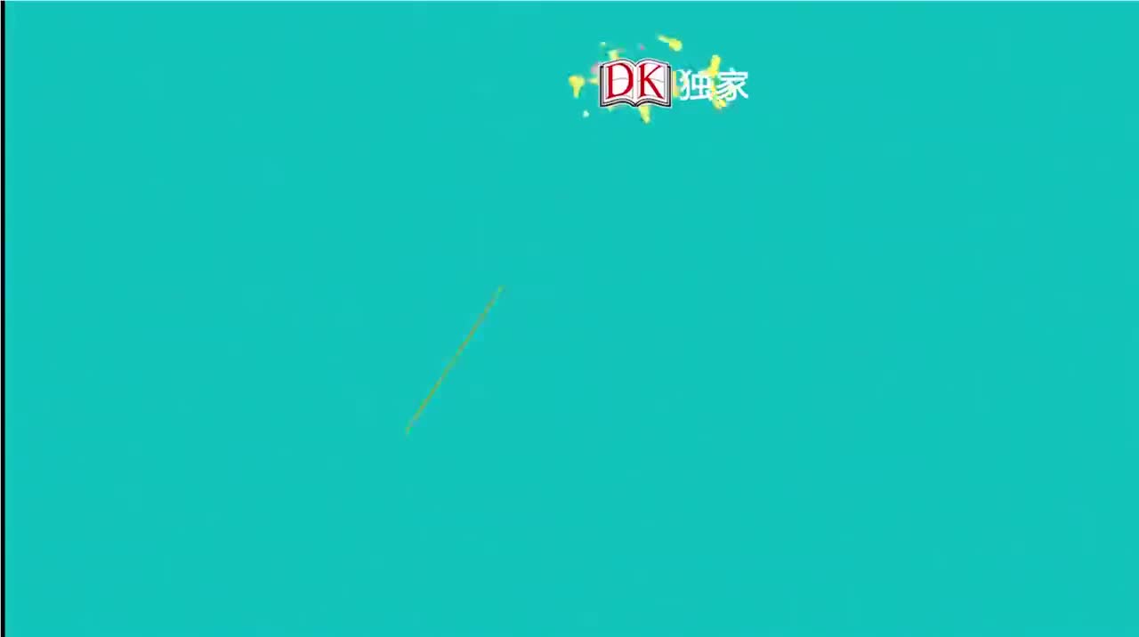 23第二十三节：美丽的鸟 1