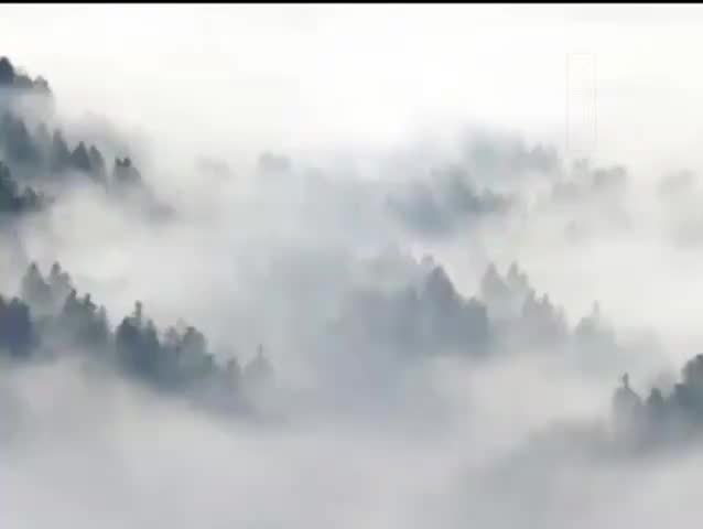 攝大乘論17問答