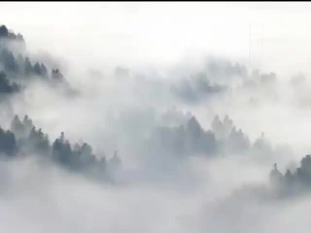 攝大乘論38問答