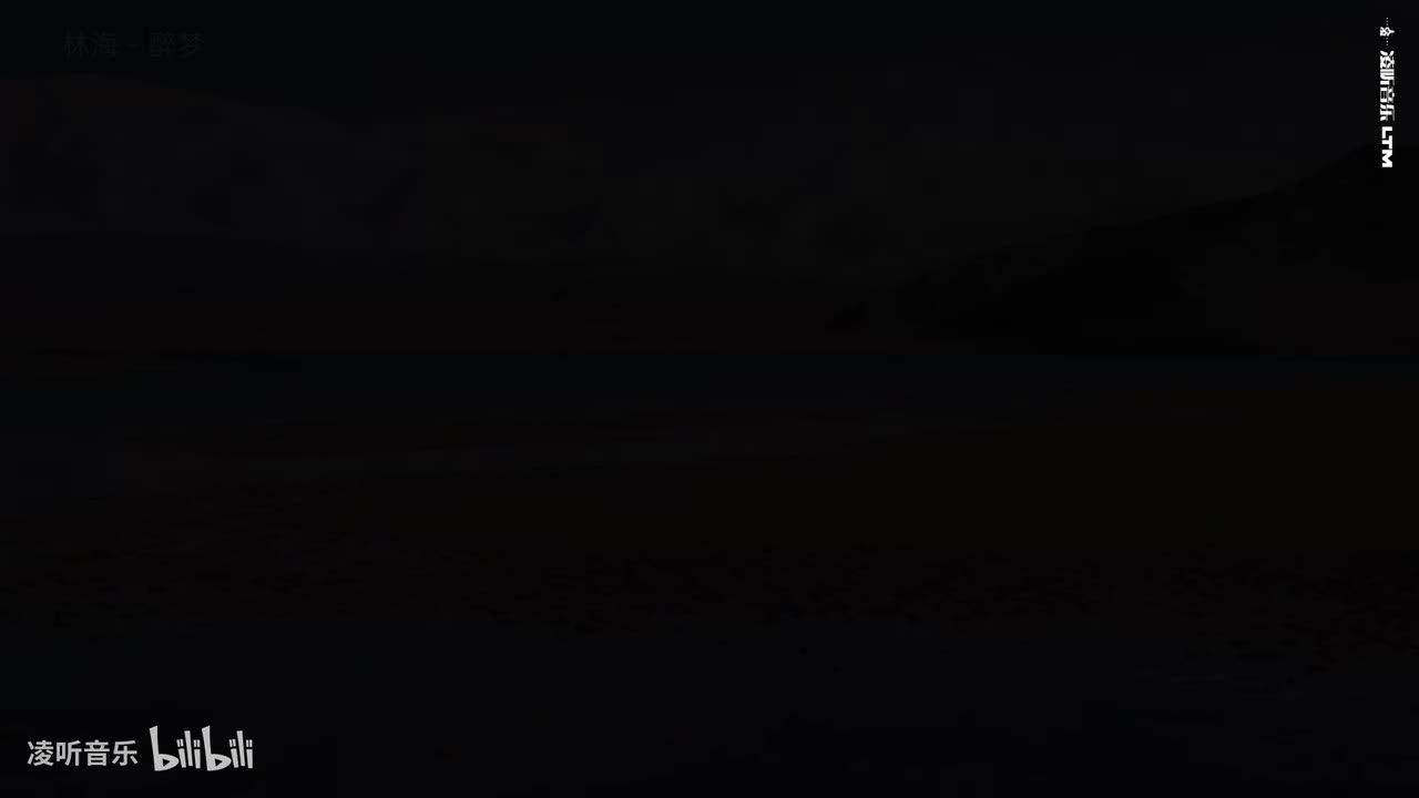 76林海 - 醉梦