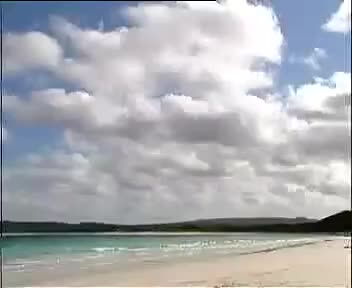 《王清明招亲》2吴南野 孙道华