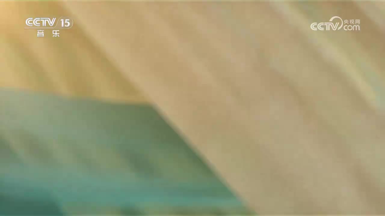 乐游中国艺术研究院 琵琶