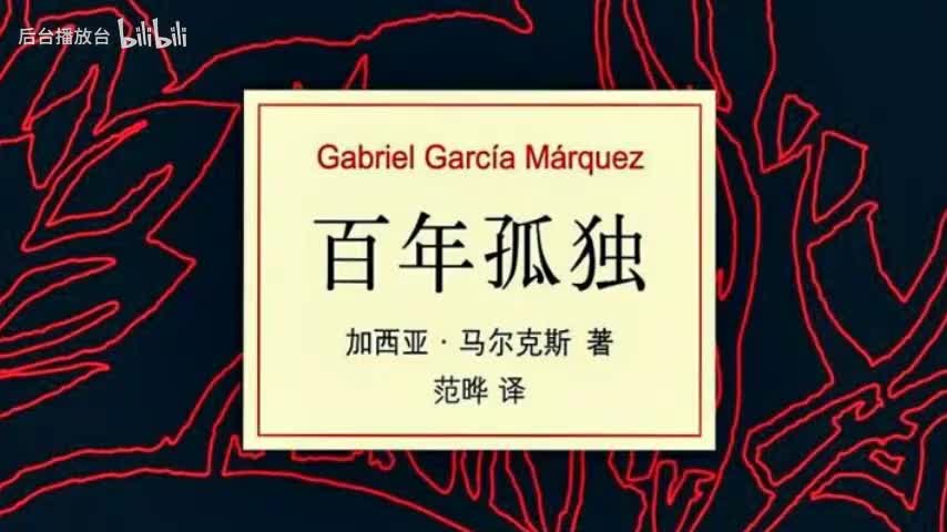 08 百年孤独