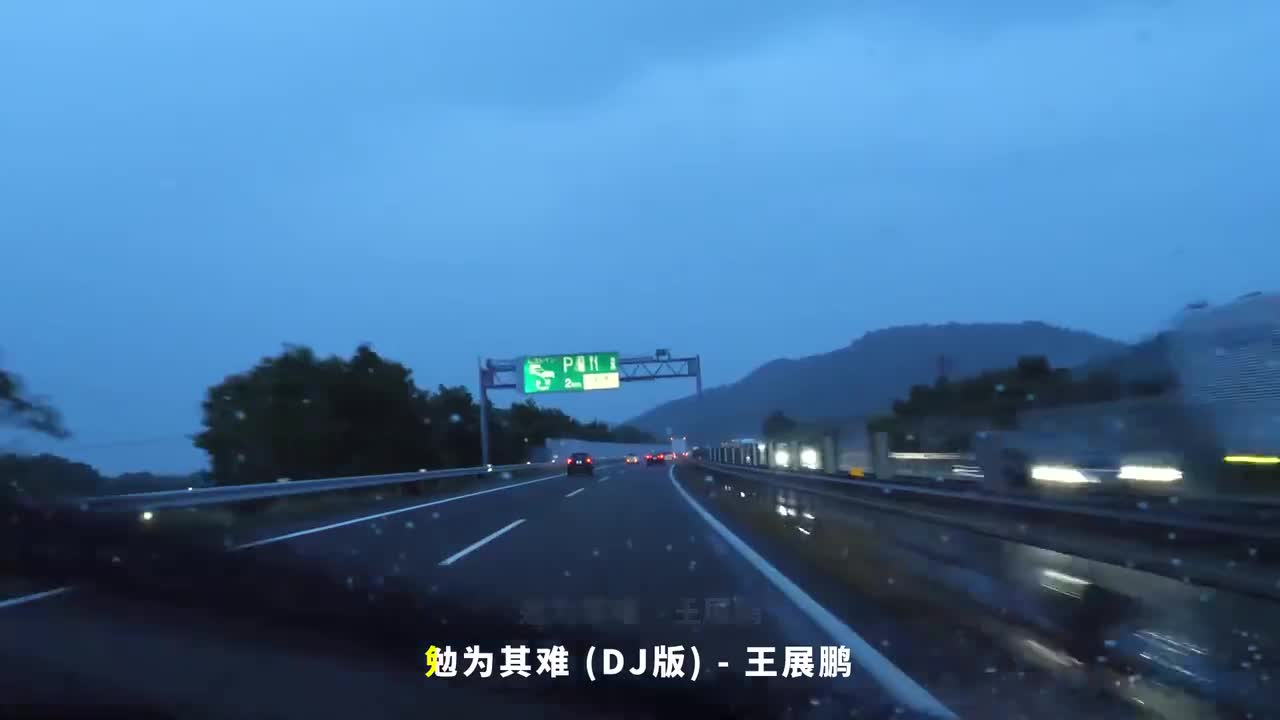 009. 勉为其难 (DJ版) - 王展鹏