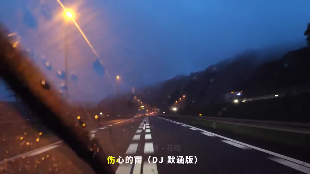 066. 伤心的雨 (DJ默涵版) - 花姐