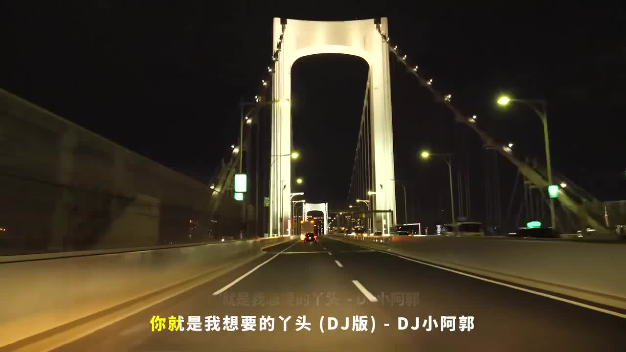 008. 你就是我想要的丫头 (DJ版) - DJ小阿郭