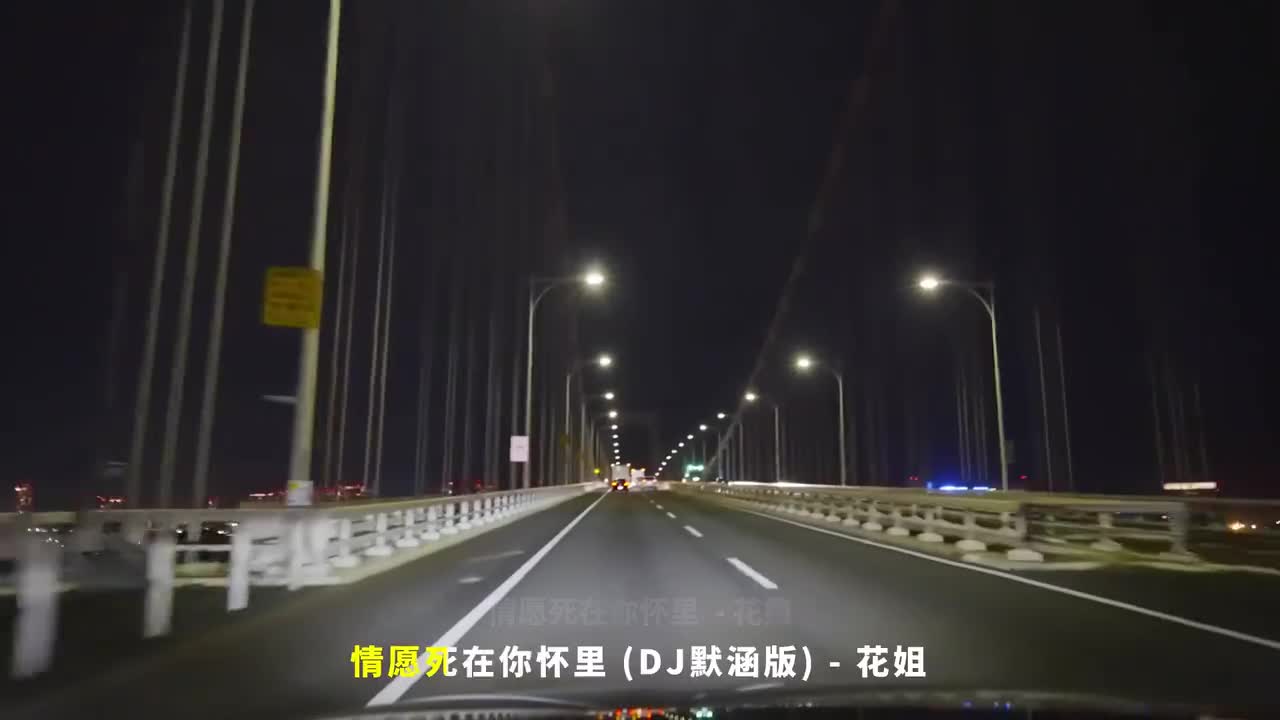 064. 情愿死在你怀里 (DJ默涵版) - 花姐