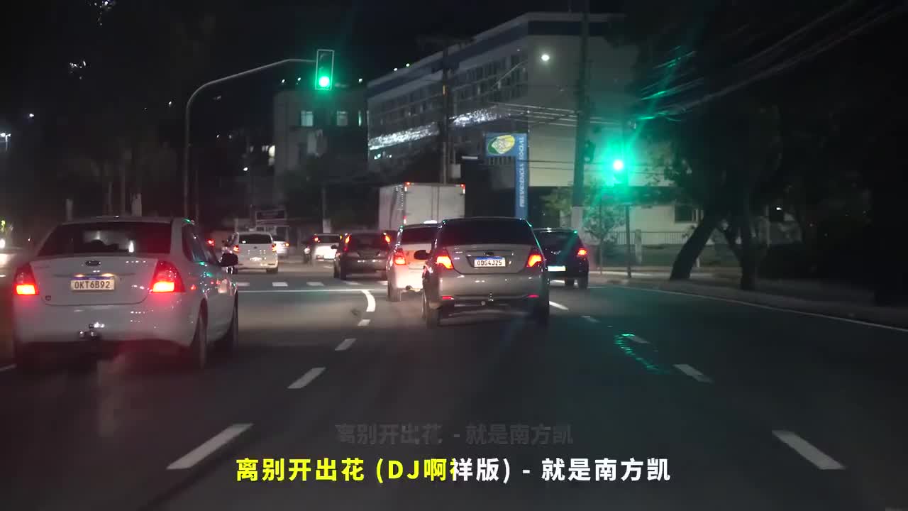 106. 离别开出花 (DJ啊祥版) - 就是南方凯