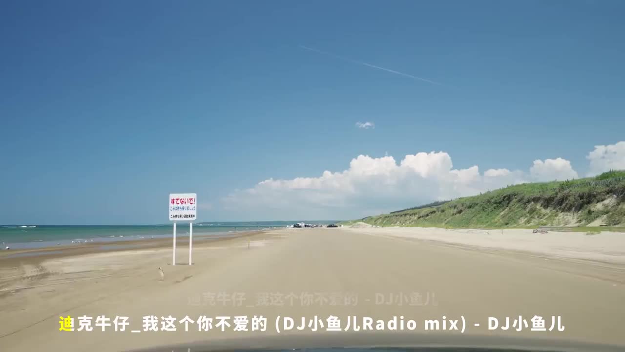 089. 迪克牛仔_我这个你不爱的 (DJ小鱼儿Radio mix) - DJ小鱼儿