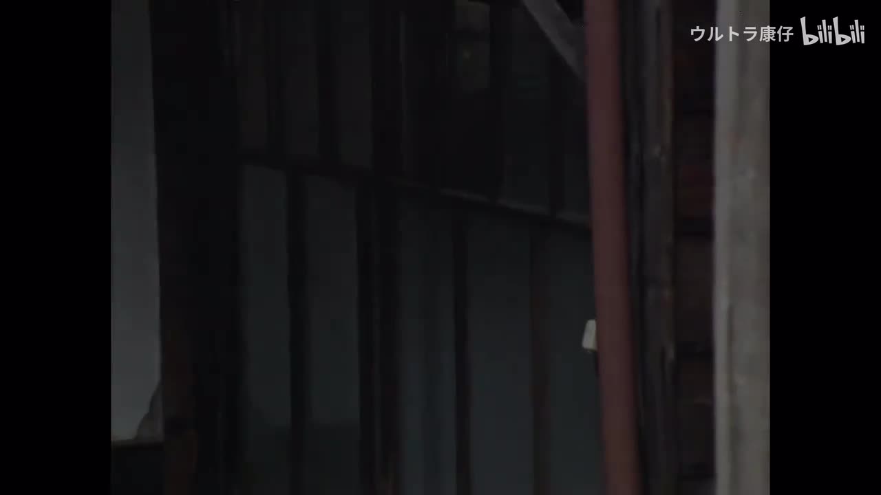 18.鸽子归来（上）