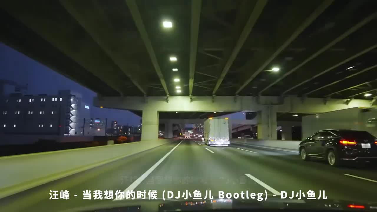 082. 汪峰 - 当我想你的时候 (DJ小鱼儿 Bootleg) - DJ小鱼儿