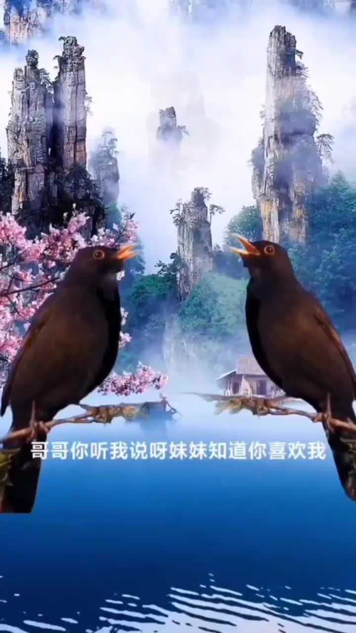 防撞