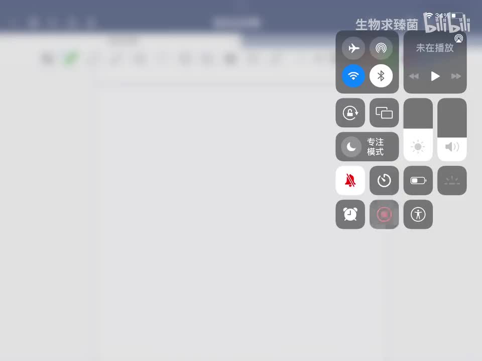 3-4 真核生物RNA聚合酶