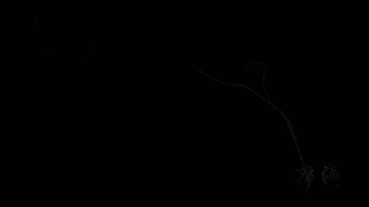 11.机械设备篇-危险的泵车