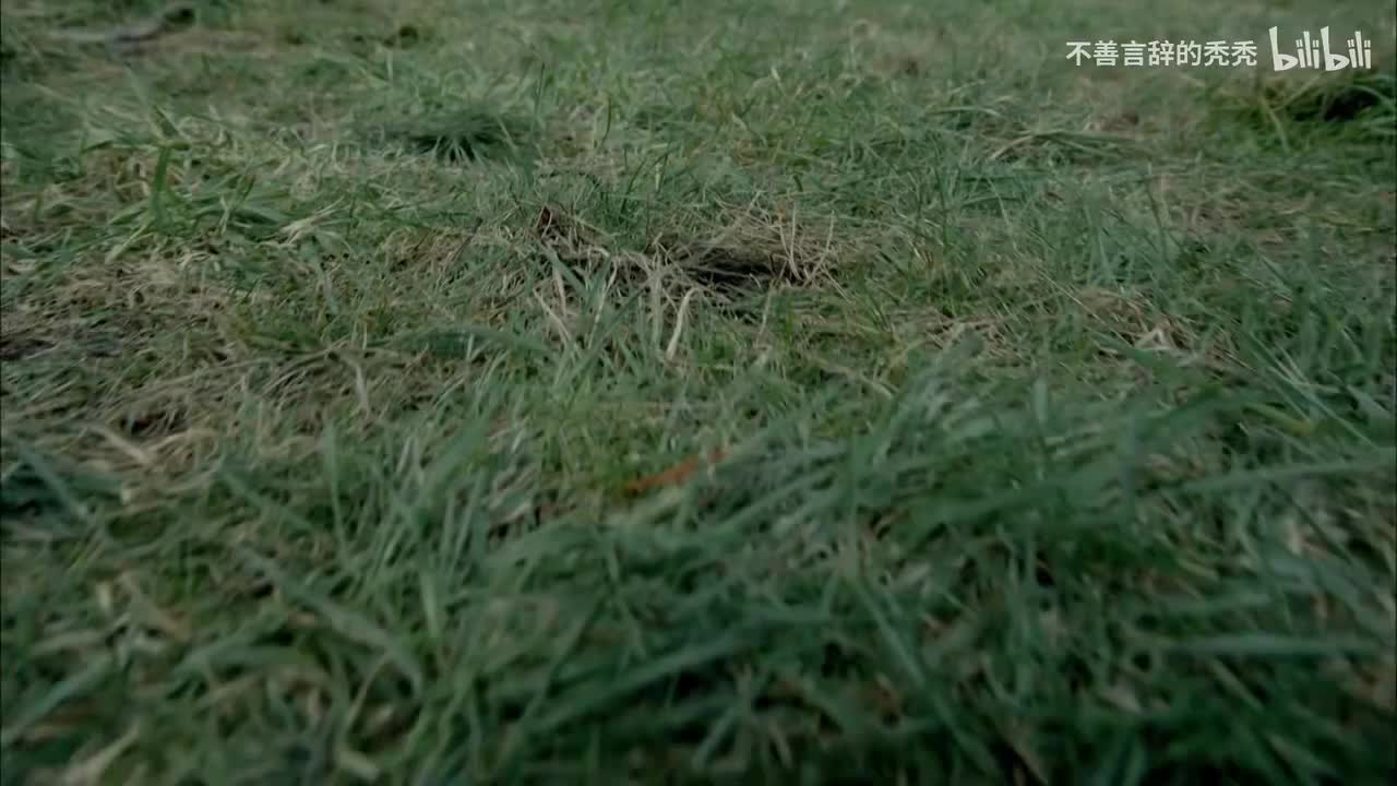 第三季 7-9集（上)