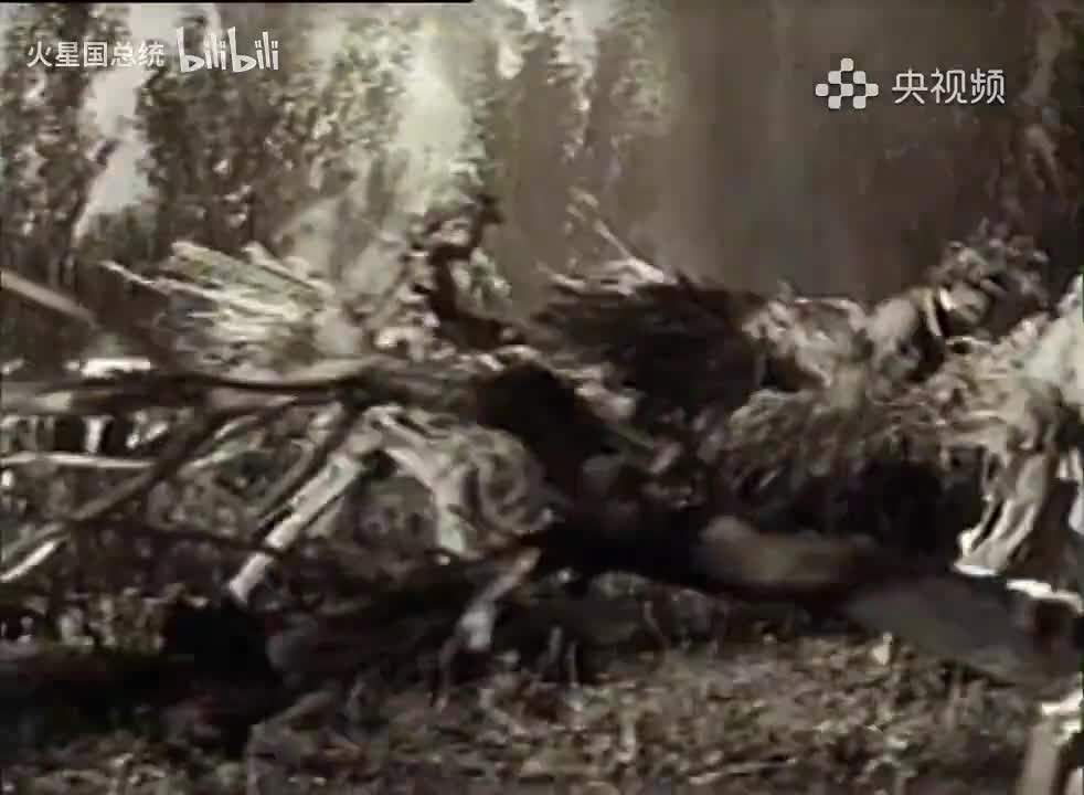 中国命运的决战 (23)_3