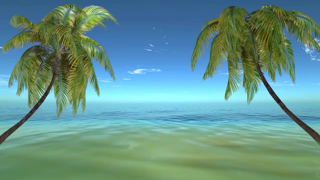 棕榈树 大海 空镜 #3153