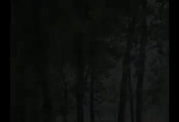 骚姐夫碰见浪小姨1