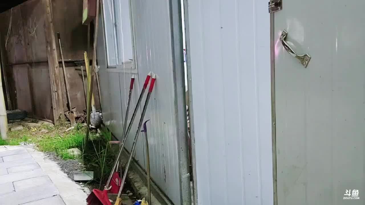 蟹蟹妮2024-07-02T22_40_27