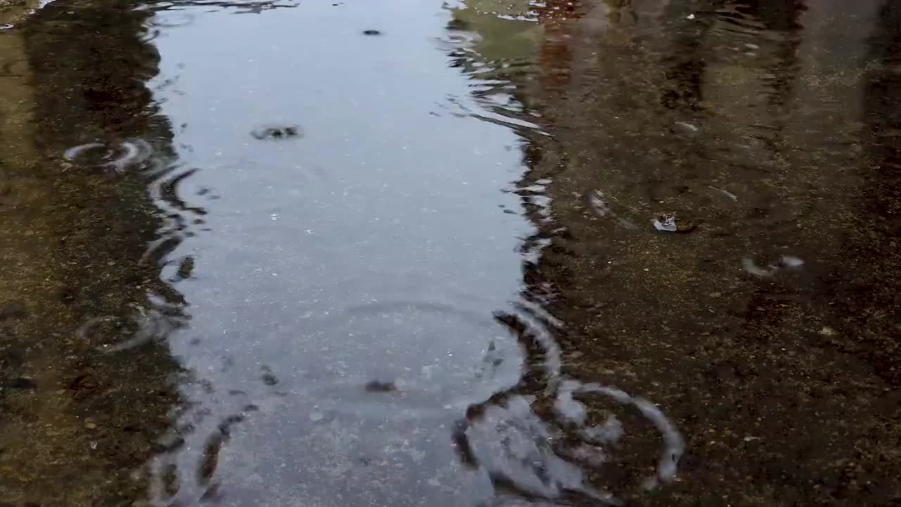下雨 地面 波纹 #0918