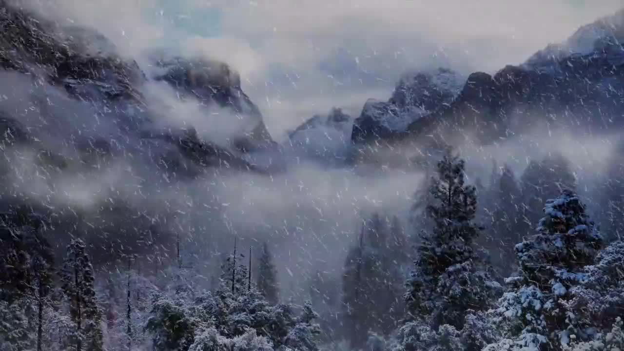 三款大雪 雾气 森林 #1011