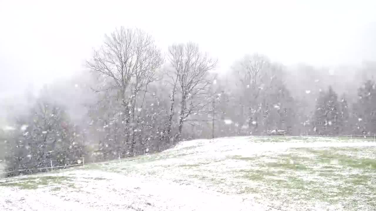 雪花纷飞的户外景色 #1013