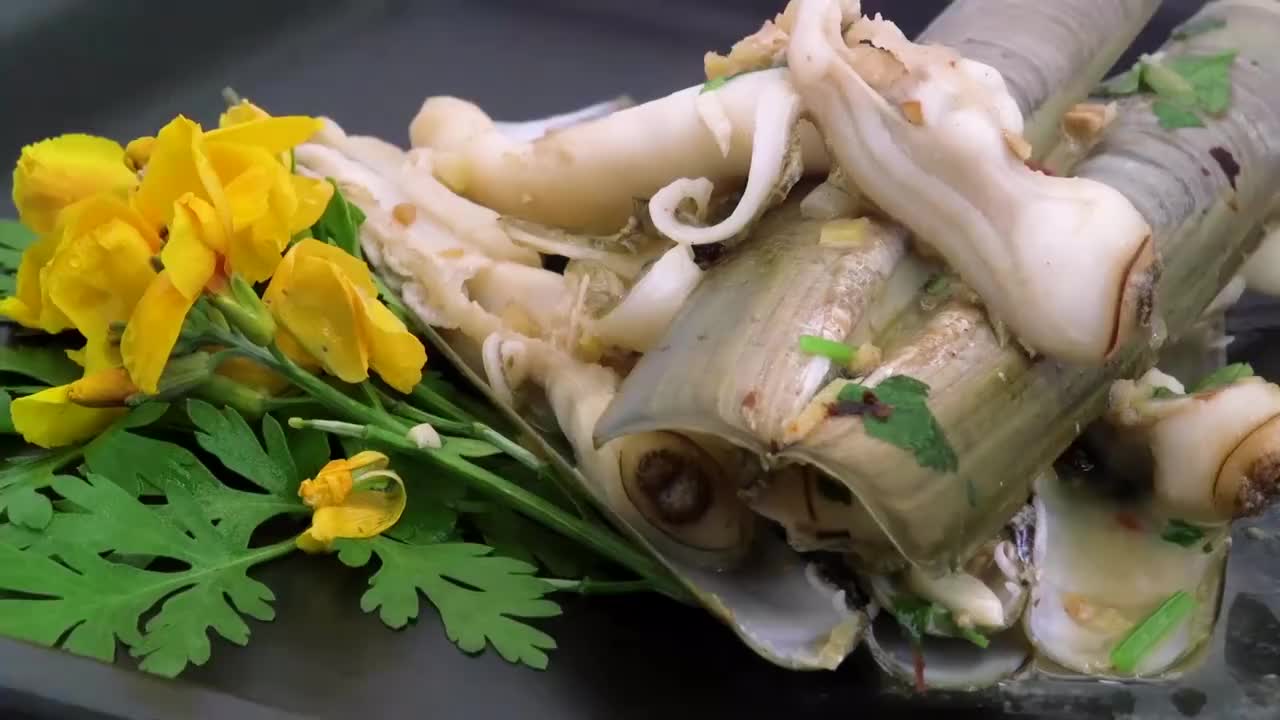 蛤蜊 海鲜 蛏子 #2821