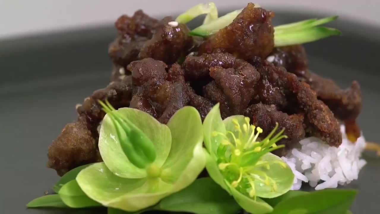 精致的牛肉米饭 #2823