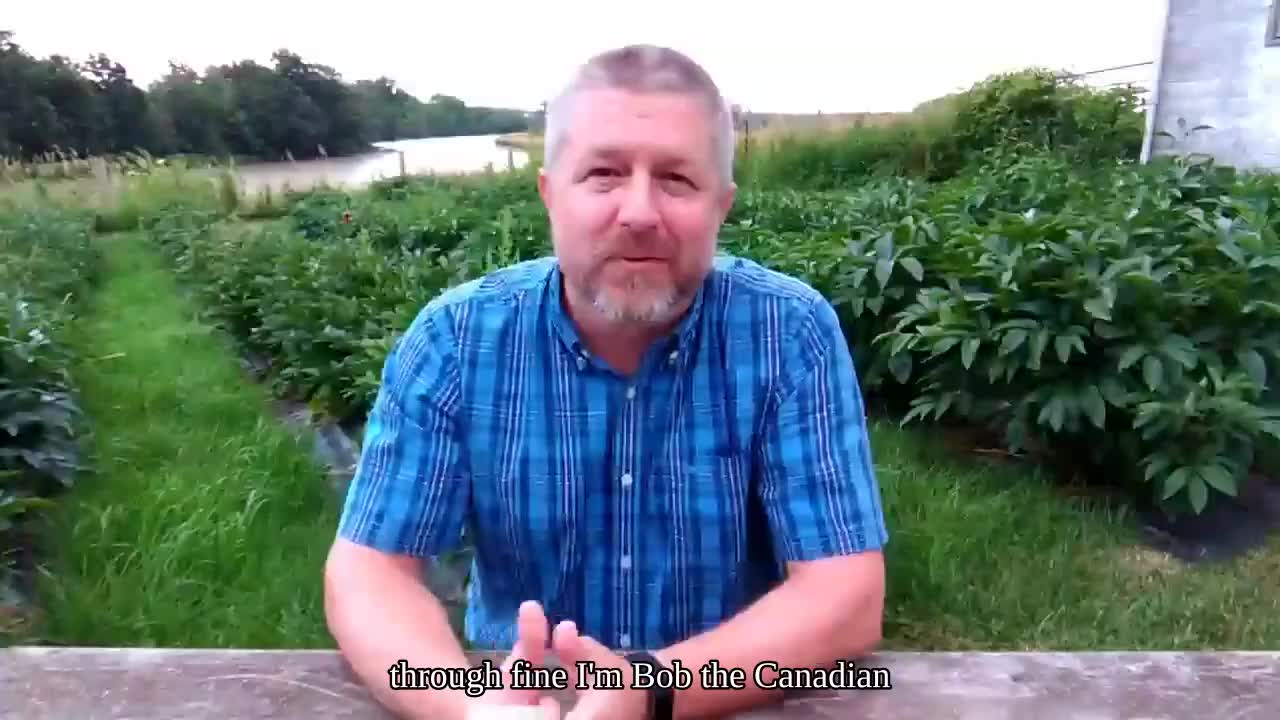 66.[20190713] English Listening and Conversation...